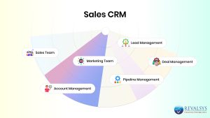 Sales CRM – Empowering Businesses of All Sizes to Sell Smarter